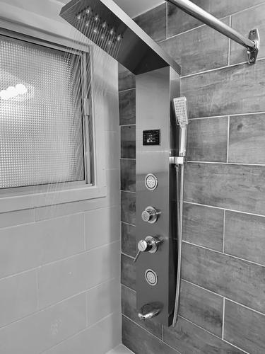 1 bedroom apartment for rent in Montreal - Rosemont–La Petite-Patrie — photo 4