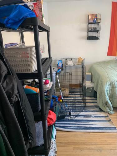 Studio for rent in Québec - Sainte-Foy–Sillery–Cap-Rouge — photo 7