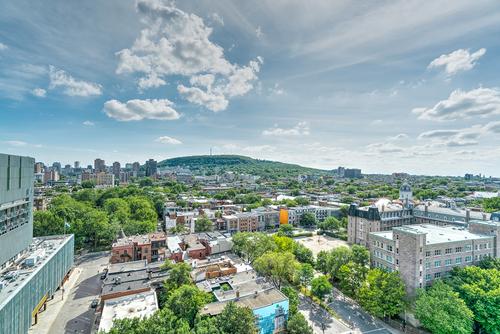 Appartement de 2 chambres à louer à Montreal - Le Plateau-Mont-Royal — photo 13
