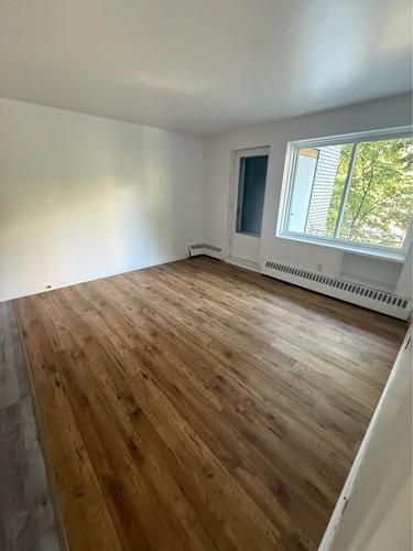 1 bedroom apartment for rent in Montreal - Le Plateau-Mont-Royal — photo 3