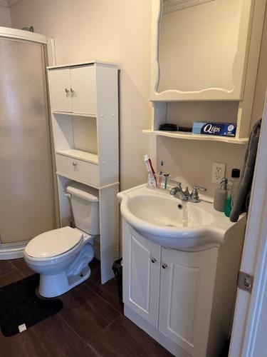 Appartement de 2 chambres à louer à Québec - La Cité-Limoilou — photo 10