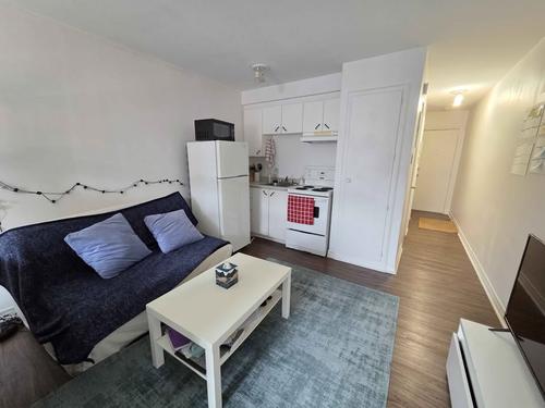 1 bedroom apartment for rent in Montreal - Le Plateau-Mont-Royal — photo 3