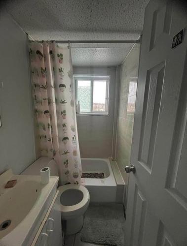 Appartement de 1 chambre à louer à Sherbrooke — photo 4