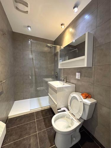 Appartement de 1 chambre à louer à Montreal - Rosemont–La Petite-Patrie — photo 7