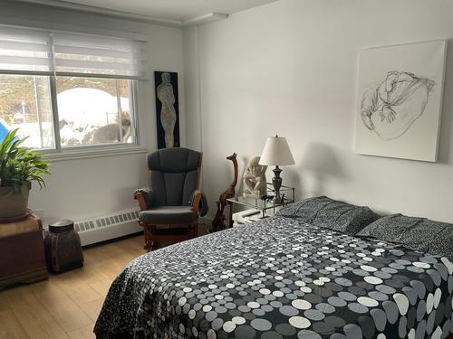 Appartement de 1 chambre à louer à Saint-Lambert (Montérégie) — photo 4
