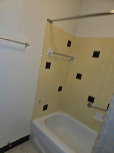 1 bedroom apartment for rent in Lévis — photo 5