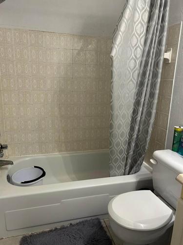 1 bedroom apartment for rent in Longueuil — photo 4