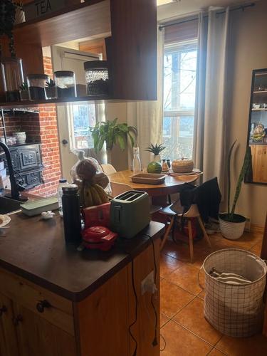 Appartement de 2 chambres à louer à Québec - La Cité-Limoilou — photo 4