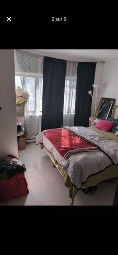 Studio à louer à Longueuil — photo 4