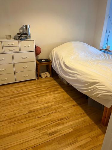 Appartement de 1 chambre à louer à Montreal - Rosemont–La Petite-Patrie — photo 7
