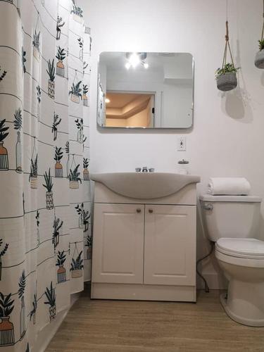 Appartement de 1 chambre à louer à Québec - La Cité-Limoilou — photo 12