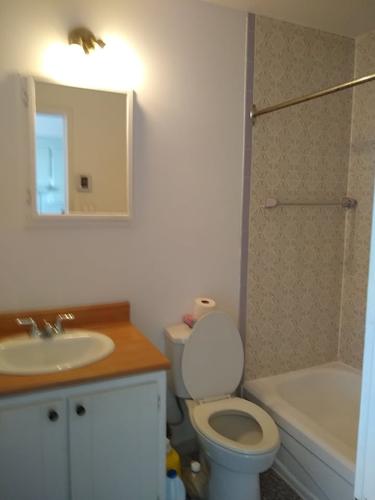 Appartement de 1 chambre à louer à Longueuil — photo 3