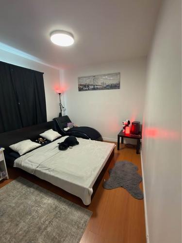 3 bedrooms apartment for rent in Sherbrooke — photo 12