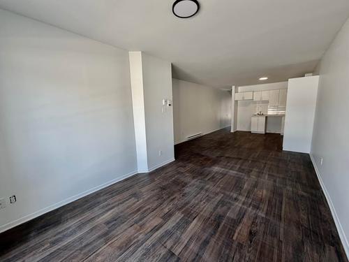1 bedroom apartment for rent in Montreal - Rosemont–La Petite-Patrie — photo 3