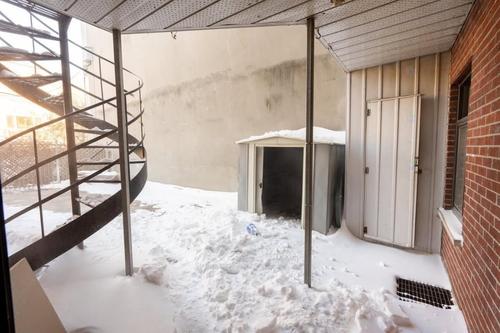 4 bedrooms apartment for rent in Montreal - Le Plateau-Mont-Royal — photo 12