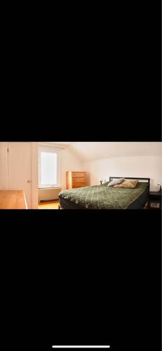 1 bedroom apartment for rent in Québec - Beauport — photo 11
