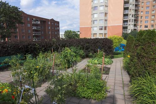 2 bedrooms apartment for rent in Québec - Sainte-Foy–Sillery–Cap-Rouge — photo 8