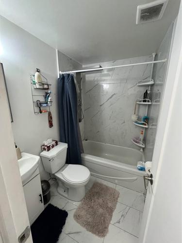 Appartement de 1 chambre à louer à Montreal - Rosemont–La Petite-Patrie — photo 6