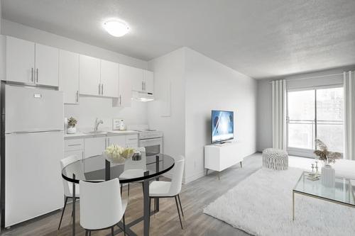1 bedroom apartment for rent in Montreal - Le Plateau-Mont-Royal — photo 5