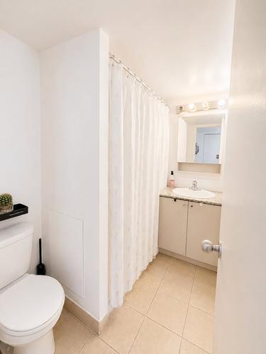 2 bedrooms apartment for rent in Montreal - Le Plateau-Mont-Royal — photo 2