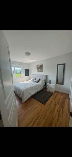 1 bedroom apartment for rent in Lévis — photo 3