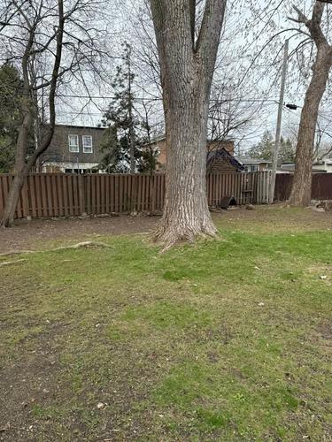 Appartement de 1 chambre à louer à Longueuil — photo 4