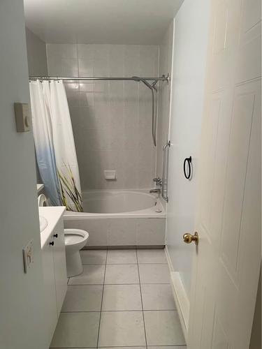 2 bedrooms apartment for rent in Montreal - Le Plateau-Mont-Royal — photo 9
