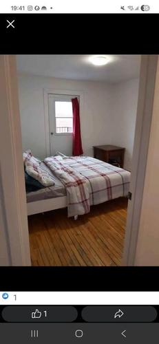 1 bedroom apartment for rent in - — photo 8