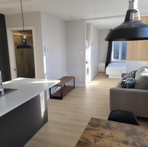 1 bedroom apartment for rent in Québec - La Cité-Limoilou — photo 7
