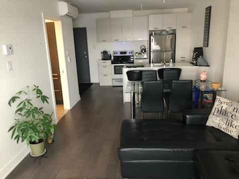 1 bedroom apartment for rent in Laval — photo 3