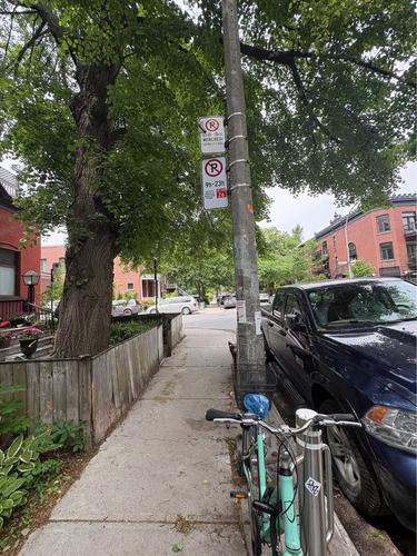 1 bedroom apartment for rent in Montreal - Le Plateau-Mont-Royal — photo 23