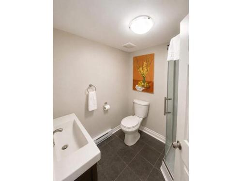 1 bedroom apartment for rent in Gatineau — photo 4