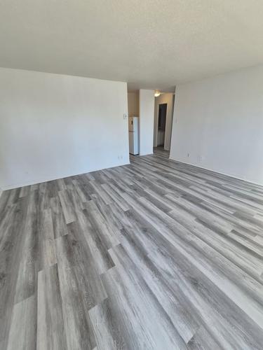 1 bedroom apartment for rent in Gatineau — photo 3