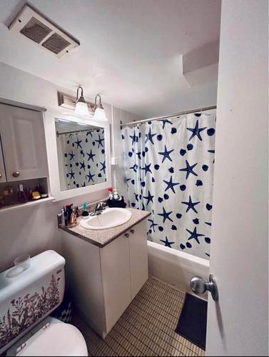 Studio à louer à Montreal - Le Plateau-Mont-Royal — photo 4