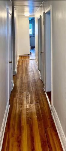 Appartement de 2 chambres à louer à Montreal - Rosemont–La Petite-Patrie — photo 4
