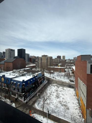 1 bedroom apartment for rent in Montreal - Ville-Marie — photo 7