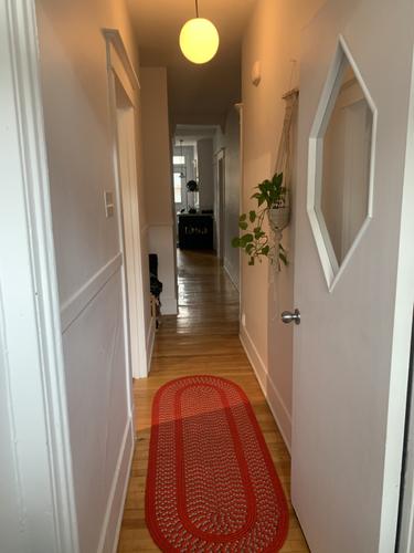 2 bedrooms apartment for rent in Montreal - Rosemont–La Petite-Patrie — photo 3
