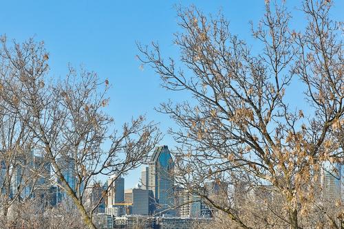 1 bedroom apartment for rent in Montreal - Le Sud-Ouest — photo 11