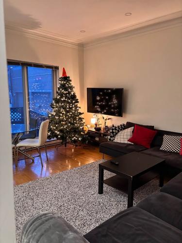 2 bedrooms apartment for rent in Montreal - Le Plateau-Mont-Royal — photo 4