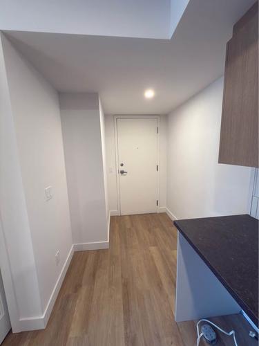1 bedroom apartment for rent in Lévis — photo 10