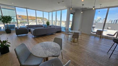 1 bedroom apartment for rent in Montreal - Le Plateau-Mont-Royal — photo 8