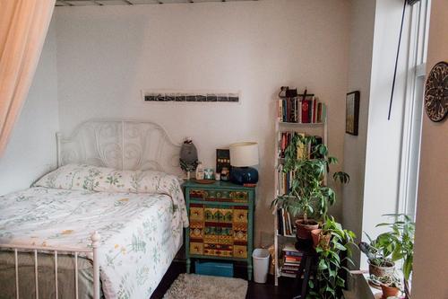 2 bedrooms apartment for rent in Montreal - Le Plateau-Mont-Royal — photo 3