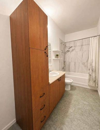 2 bedrooms apartment for rent in Montreal - Rosemont–La Petite-Patrie — photo 6
