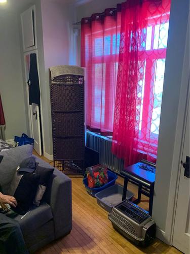 Studio à louer à Lévis — photo 10