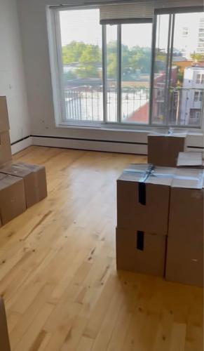 1 bedroom apartment for rent in Montreal - Le Plateau-Mont-Royal — photo 2