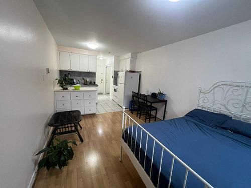 3 bedrooms apartment for rent in Montreal - Le Plateau-Mont-Royal — photo 4