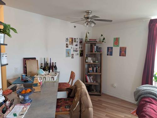 Appartement de 1 chambre à louer à Québec - La Cité-Limoilou — photo 8