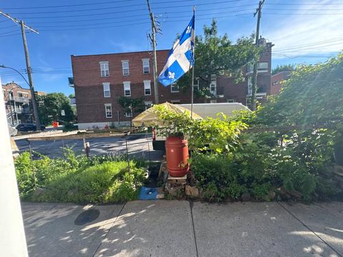 1 bedroom apartment for rent in Montreal - Rosemont–La Petite-Patrie — photo 16