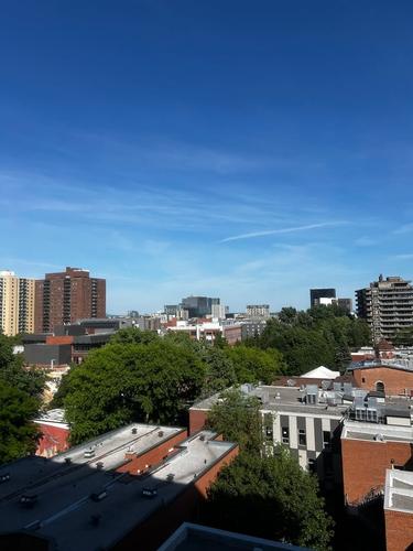 1 bedroom apartment for rent in Montreal - Ville-Marie — photo 3