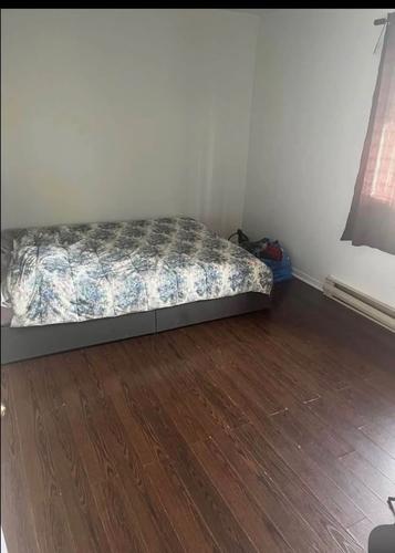 Appartement de 1 chambre à louer à Montreal - Le Plateau-Mont-Royal — photo 2